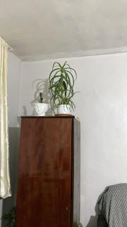 Mountain Cottage - Ananuri - 3