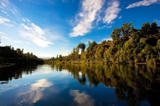 Winder-Lea Whare in Native Bush - Moana - 5
