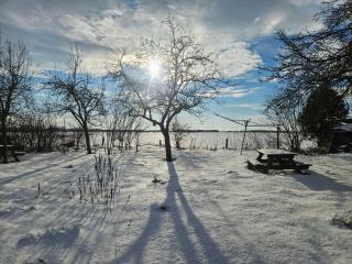 Logeerruimte in gerenoveerde boerderij in Wachtum - 8