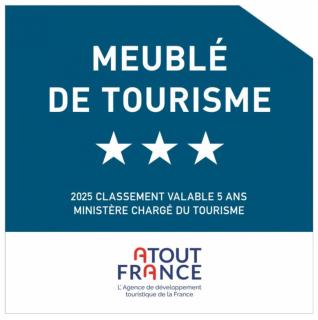 Coup de cœur à Saint-Leu, T3 lumineux avec vue mer et montagne - Saint-Leu - 8