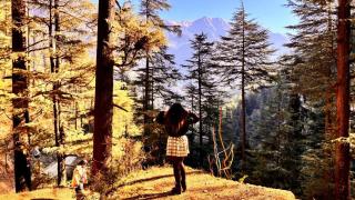 Alpine heaven forest view cottage uphill Trk150mtr - 7