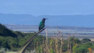 18th Fairway Villa, St Francis Links - 3 bedroom - 4