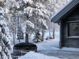 Hietavilla Pläk- Hot tube - Sauna - Fireplace - 11kW EV-refuel - Landscape view - Silence - Free WiFi - 9