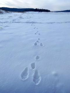 Przewietrzona Głowa - 5