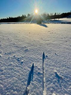 Aspudden en pärla i Sörmland - 3