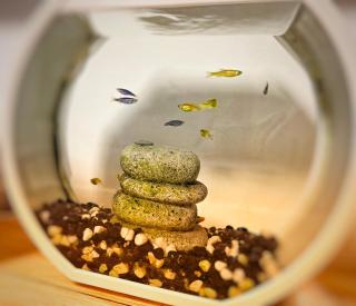 מיני פנטהאוס נווה גן Mini Penthouse by Lake Neve Gan - 1