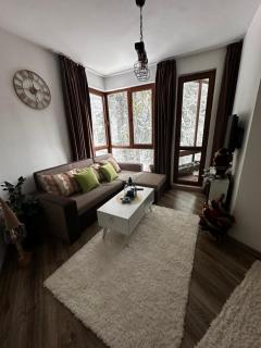 Winter Lotos Apartment Pamporovo - 5