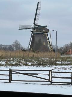 Chalet aan de Rotte - 9