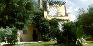 Seaside Green Villa - 9