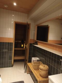 Helsinki Central Loft Private sauna and terrace - 3