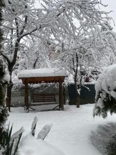 Cabana dintre Brazi - 7