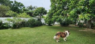 Casa ingleses - 2