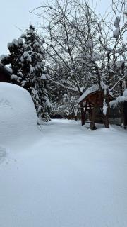 Cabana dintre Brazi - 8