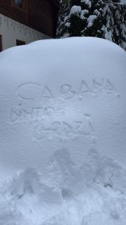 Cabana dintre Brazi - 9