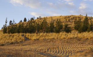 Mirador del Titikaka - 1