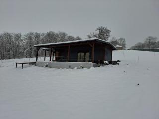 Cuibul de pe Deal Coșdeni Bihor - 7