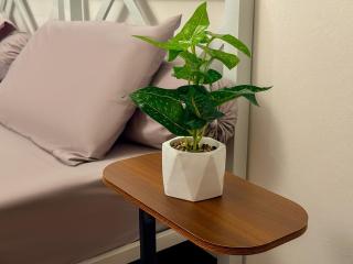 10 Pax Near Lake Garden Zoo Selly Oak Sentosa - 7