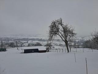 Cuibul de pe Deal Coșdeni Bihor - 3