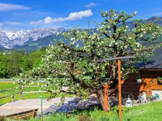 Triembachhof - Schönau am Königssee - 9