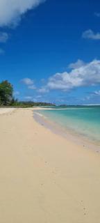 Le Dauphin - Vu mer accès plage à pied - 4