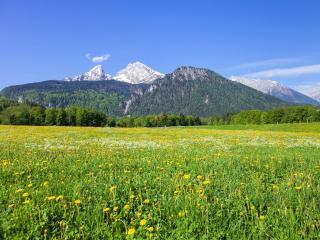 Triembachhof - Schönau am Königssee - 5