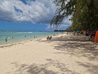 Le Dauphin - Vu mer accès plage à pied - 5