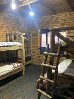 Cabañas del bosque I - 1