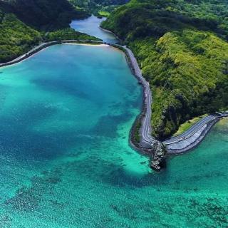 Le Dauphin - Vu mer accès plage à pied - 7
