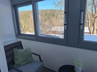 Ferienwohnung zum Schwarzwaldfrosch - 7