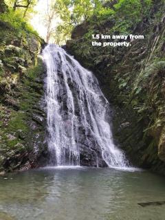 The Cozy Ghar- LakeView Home in Nainital - 1