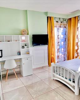 Standing de luxe coup de cœur garanti - 1