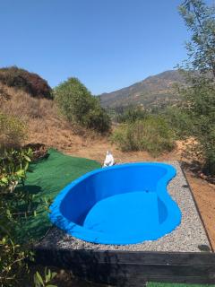 Cabaña entre parras - 8