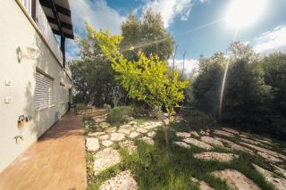 Engel apartments -אירוח למטיילים בגליל עליון - 6