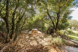 Engel apartments -אירוח למטיילים בגליל עליון - 7