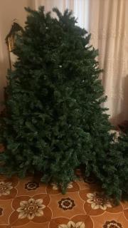 L'Appartamento Balotti - 6