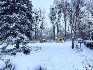 Ferienhaus am Mühlgraben - 9