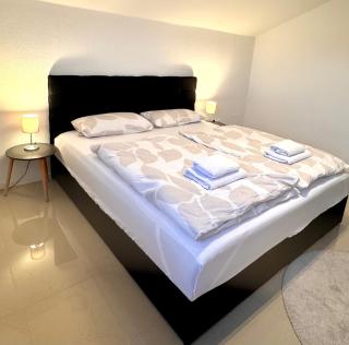 Eigentumswohnung in direkter Waldrandlage von Sandhausen - keine Handwerkerunterkunft! - 2