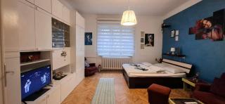 Apartment TRio - 5