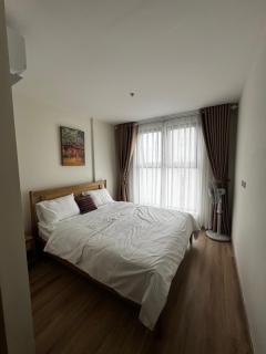 Velvet Rose Home - 9