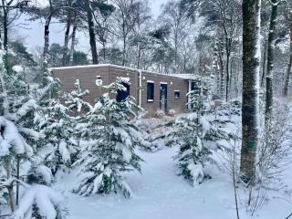 Natuurhuisje Hellendoorn - 9