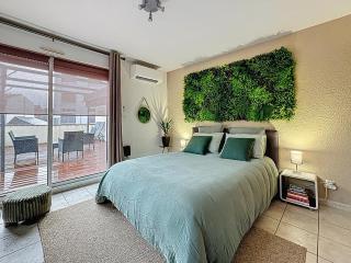 Rare en centre ville, studio climatisé avec terrasse XXL - 9