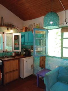 Delta Punta Alta, isla en primera sección - Estación Delta - 5