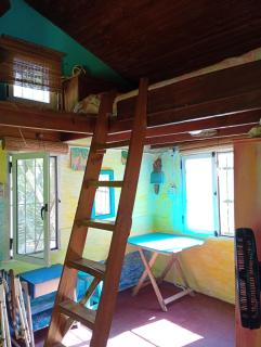 Delta Punta Alta, isla en primera sección - Estación Delta - 6