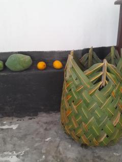 Slow local living - Jambiani - 3