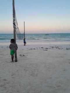 Slow local living - Jambiani - 0