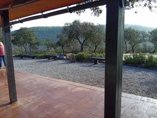 Finca Las Victorias - 6