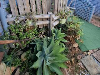 SomethingElz@Grace - 2