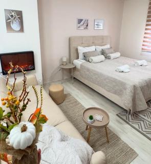 Apartmani Safir Krusevac - 4