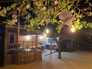 Cabaña en la montaña - 1