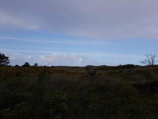 10 person holiday home in Jerup - Jerup - 9